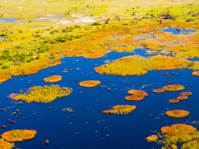 Travel guide to visiting Okavango Delta in Botswana